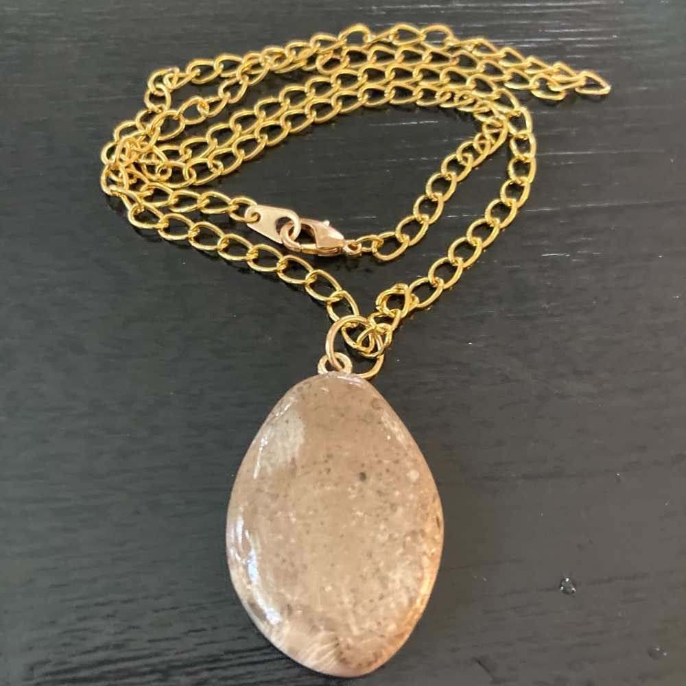 Beautiful handmade Petoskey Stone pendant with Gold tone 20" Chain Necklace. - Picture 6 of 9